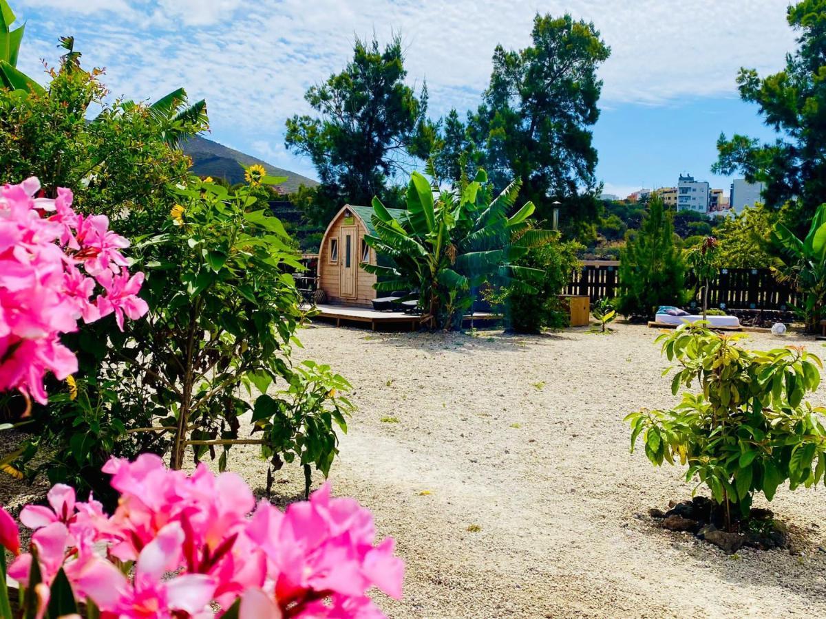 Alisios Hot Tub, Piscina Y Naturaleza Buzanada エクステリア 写真